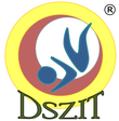 DSZIT logo